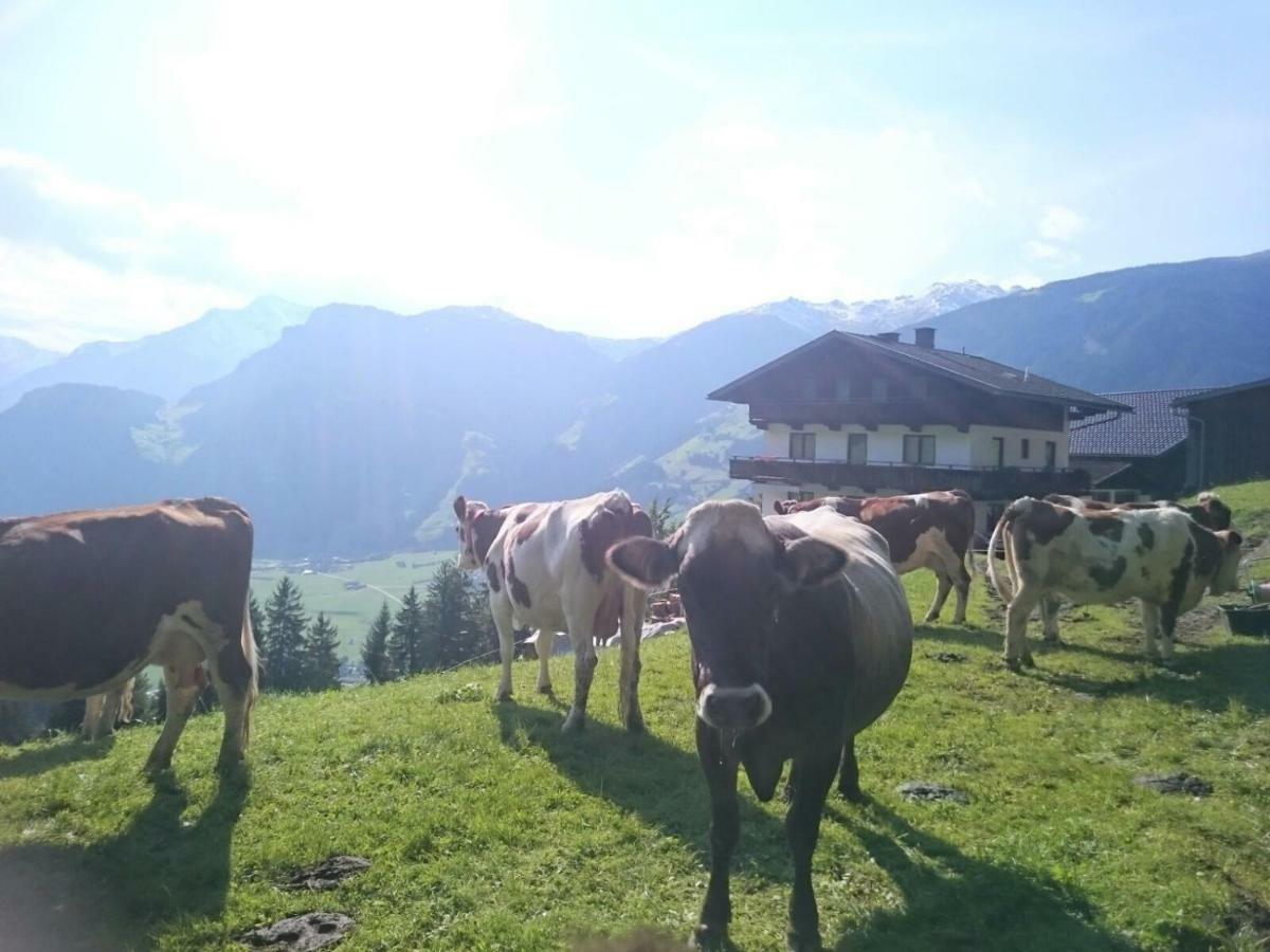 Saibatenhof Hainzenberg Esterno foto